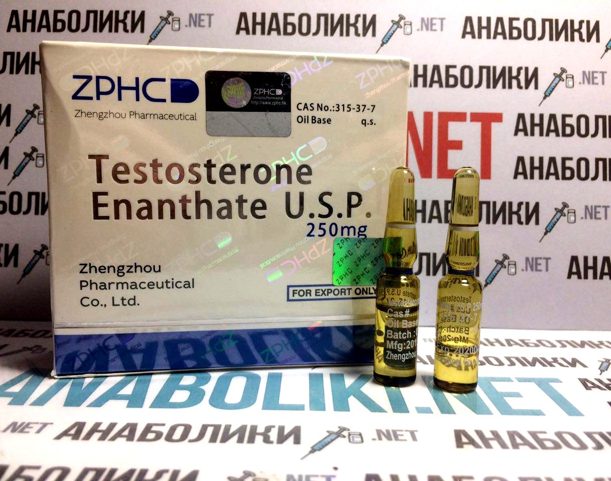 TESTOSTERON-E 10x1ml 400mg/ml ZPHC — изображение 3